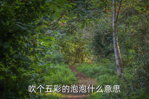 五彩的泡泡，吹個(gè)五彩的泡泡什么意思