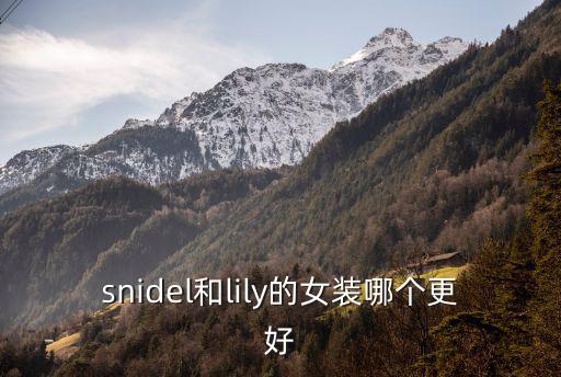 snidel，snidel和lily的女裝哪個更好