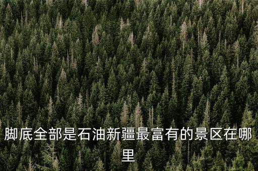 腳底全部是石油新疆最富有的景區在哪里