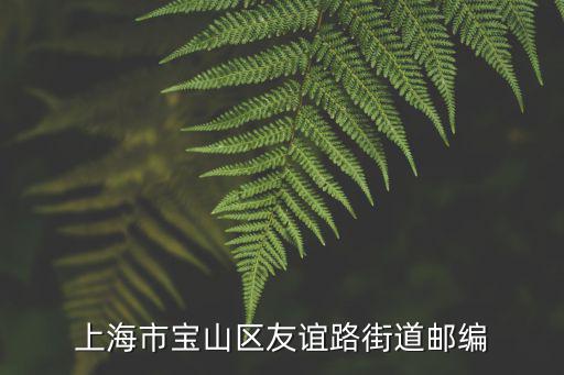 上海市寶山區友誼路街道郵編