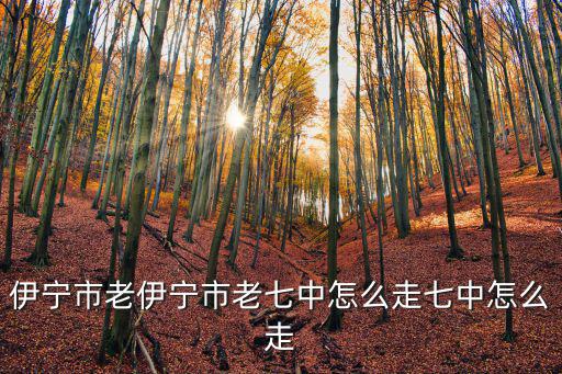 伊寧市第七中學怎么樣