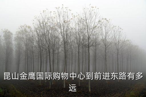 昆山金鷹國際購物中心到前進東路有多遠