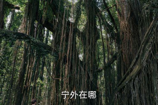 寧外在哪
