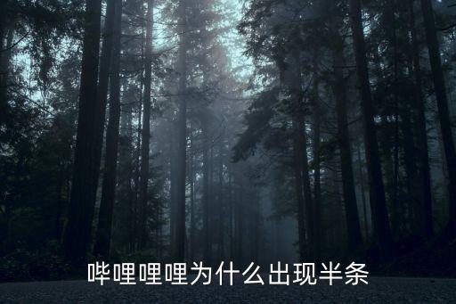 嗶哩哩哩，嘀哩嘀哩和嗶哩嗶哩哪個好