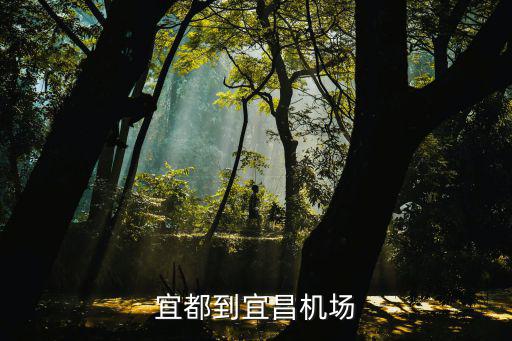 宜昌機(jī)場(chǎng)，宜昌有沒(méi)有機(jī)場(chǎng)啊