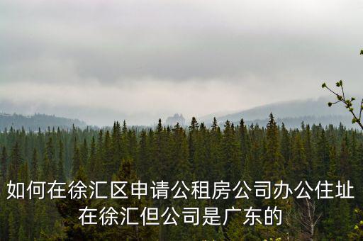 如何在徐匯區申請公租房公司辦公住址在徐匯但公司是廣東的