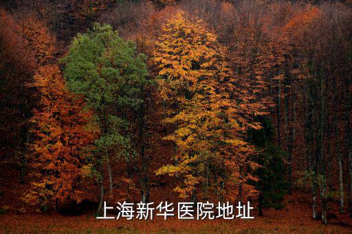 上海新華醫院地址