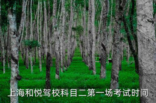 上海和悅駕校科目二第一場考試時間
