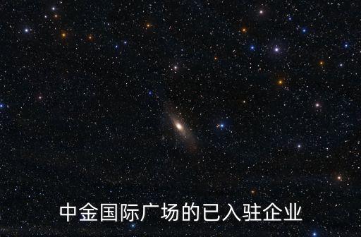 中金國際廣場的已入駐企業