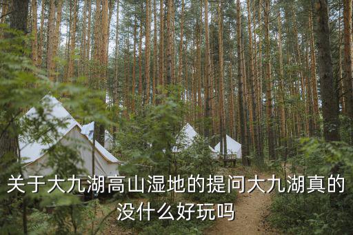 關于大九湖高山濕地的提問大九湖真的沒什么好玩嗎