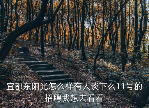 宜都招聘，宜都東陽光怎么樣有人談下么11號的招聘我想去看看
