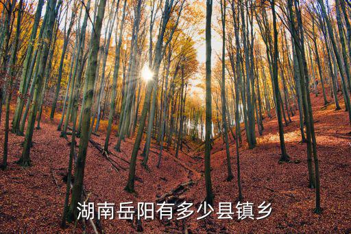 中洲鄉，廣東省中州鎮在哪里