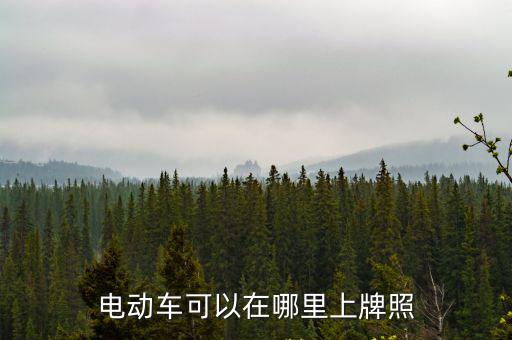 電動(dòng)車可以在哪里上牌照