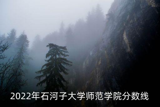 2022年石河子大學(xué)師范學(xué)院分?jǐn)?shù)線