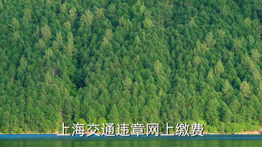 上海交通違章網(wǎng)上繳費
