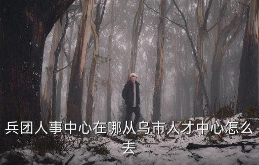 兵團(tuán)人事中心在哪從烏市人才中心怎么去