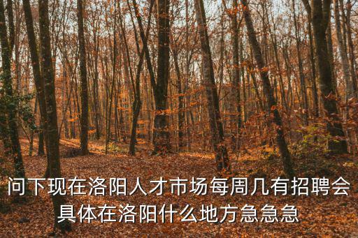 問下現(xiàn)在洛陽人才市場每周幾有招聘會(huì)具體在洛陽什么地方急急急