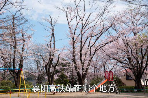襄陽高鐵站在哪個地方
