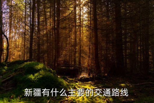 新疆有什么主要的交通路線