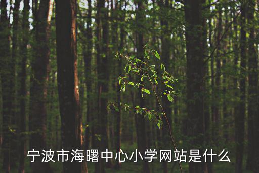寧波市海曙中心小學網站是什么