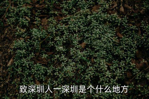 致深圳人一深圳是個什么地方
