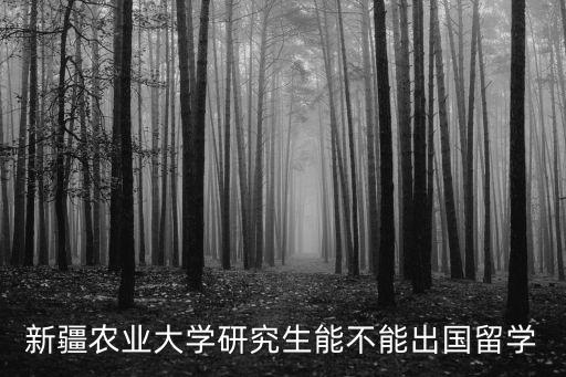 新疆農業大學研究生能不能出國留學