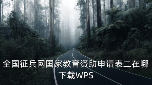 全國征兵網國家教育資助申請表二在哪下載WPS