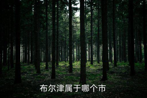 布爾津屬于哪個市