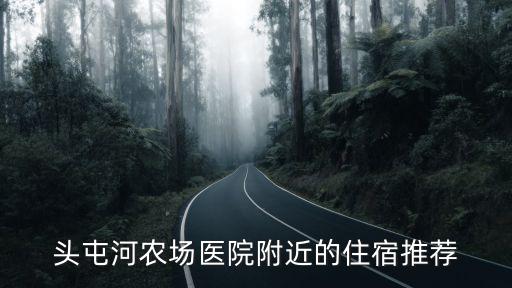 頭屯河農場醫院附近的住宿推薦