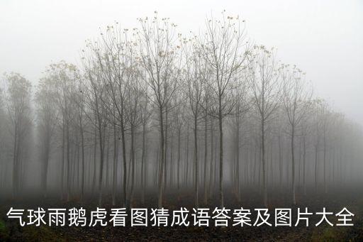 氣球雨，氣球雨鵝虎看圖猜成語(yǔ)答案及圖片大全
