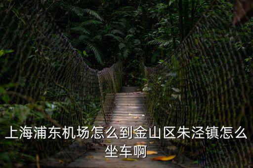 上海浦東機場怎么到金山區朱涇鎮怎么坐車啊
