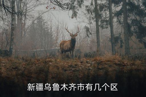 新疆烏魯木齊市有幾個區(qū)