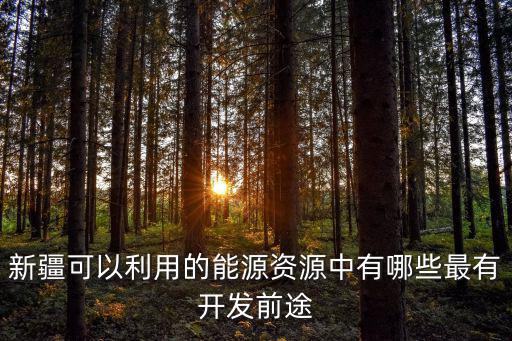 新疆可以利用的能源資源中有哪些最有開發(fā)前途