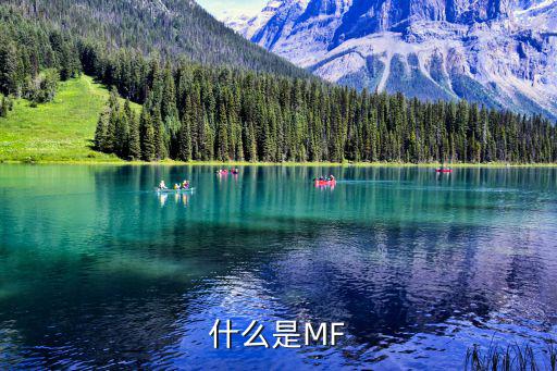 什么是MF