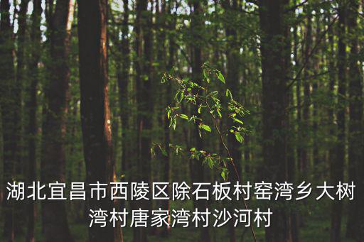 西陵區政府，發展大道69號是西陵區那個街道