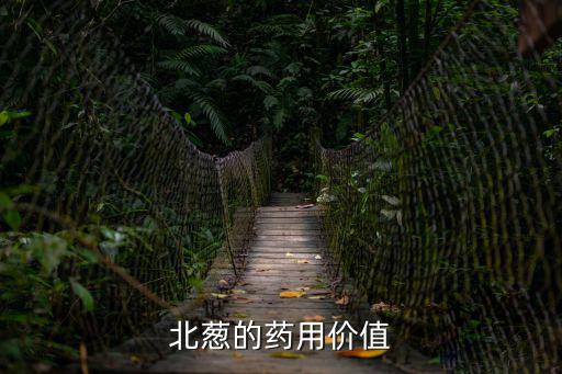 北蔥的藥用價(jià)值
