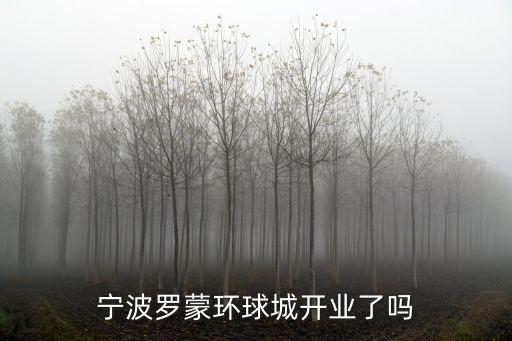 寧波羅蒙環球城開業了嗎