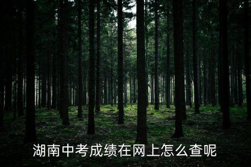 湖南中考成績查詢，湖南中考成績在網(wǎng)上怎么查呢