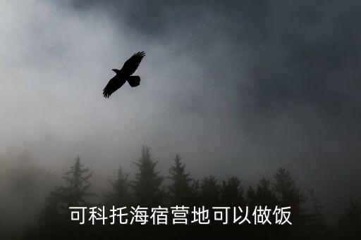 可科托海宿營地可以做飯