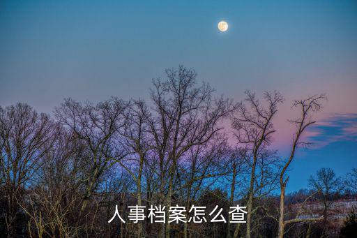 人事檔案怎么查