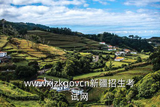 wwwxjzkgovcn新疆招生考試網(wǎng)