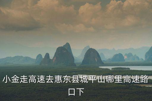 惠東東，惠東擔任榆林市法院的什么