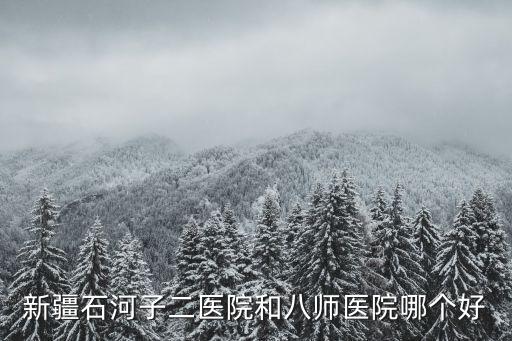 新疆石河子二醫(yī)院和八師醫(yī)院哪個好