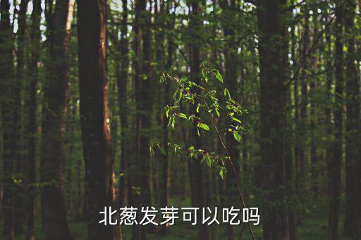 北蔥發(fā)芽可以吃嗎
