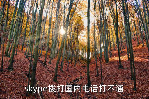 skype撥打國內電話打不通
