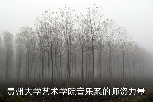 貴州大學藝術學院音樂系的師資力量