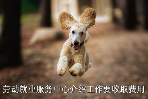 勞動就業(yè)服務(wù)中心介紹工作要收取費用