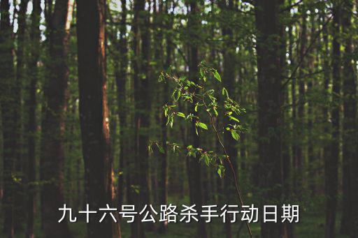 九十六號(hào)公路殺手行動(dòng)日期