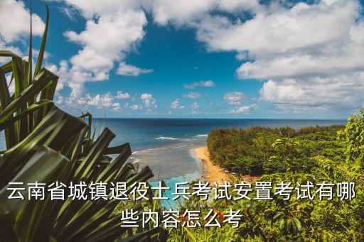 云南省城鎮(zhèn)退役士兵考試安置考試有哪些內(nèi)容怎么考