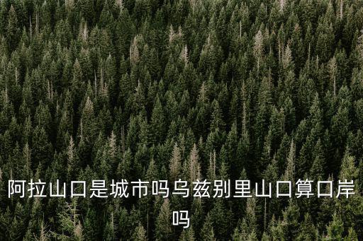阿拉山口是城市嗎烏茲別里山口算口岸嗎